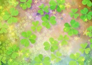 鲜花季节之春图片