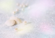 鲜花季节之夏图片