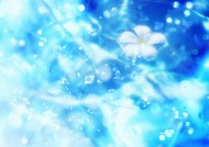 鲜花季节之夏图片