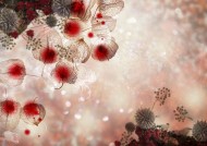 鲜花季节之秋图片