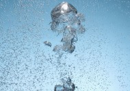 水气泡图片大全