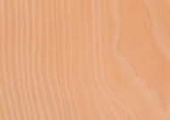 木板纹理木纹图片大全