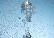 水汽水泡图片大全