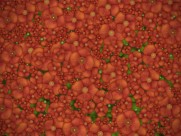 Vladstudio设计图片