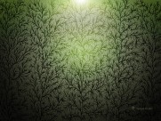 Vladstudio设计图片