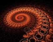 绚丽花纹背景图片