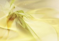 梦幻炫酷背景图片