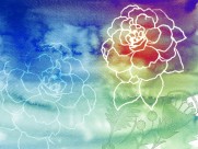 水墨花卉图片大全