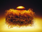 黄金、金条、金币图片