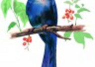 树枝上的小鸟彩绘图片