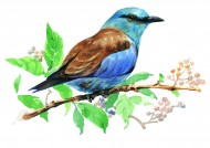 树枝上的小鸟彩绘图片