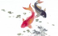 水墨画写意鲤鱼图片