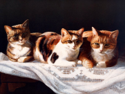 猫咪和它的小伙伴手绘图片