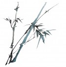 水墨竹子图片大全