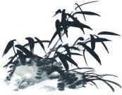 水墨竹子图片大全