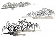 水墨柳树图片
