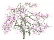 古树水墨画图片