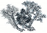 古树水墨画图片