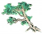 古树水墨画图片