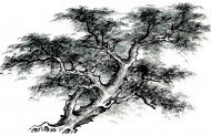 古树水墨画图片