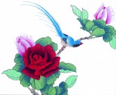 工笔花鸟图片