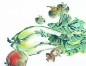 国画蔬菜图片