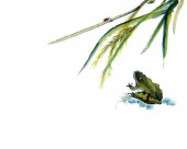 中国水墨画图片