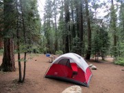 野外露营搭建的帐篷图片