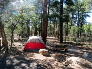 野外露营搭建的帐篷图片