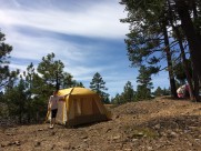 野外露营搭建的帐篷图片