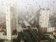 窗子上的雨滴图片