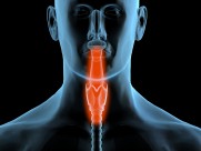 人体x光片图片大全