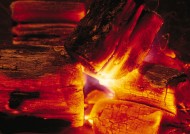 燃烧中的木块图片大全