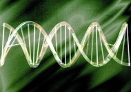 植物生化科技图片大全