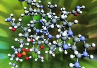 植物生化科技图片大全