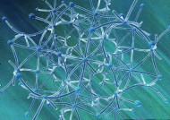 植物生化科技图片大全