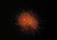 烟花图片