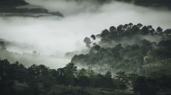 烟雾缭绕的山林图片