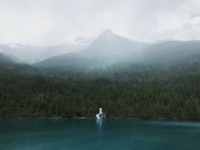 大雾天的森林图片