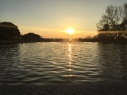 唯美的日出风景图片