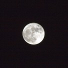 圆圆的月亮图片