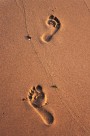沙滩上的脚印高清图片