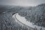 冬季白雪覆盖的森林图片大全