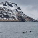 雪山景色图片大全