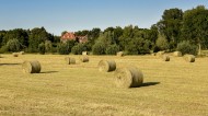 夏日田园里的草垛自然风光图片