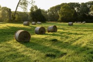 夏日田园里的草垛自然风光图片
