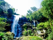 森林里的瀑布图片