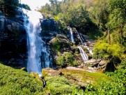 森林里的瀑布图片