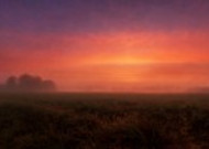 夕阳雾景图片