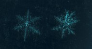 显微镜拍摄的雪花图片